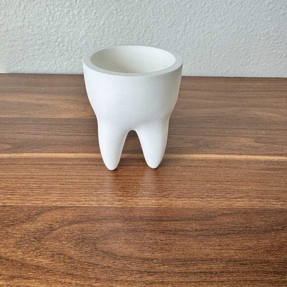 3D Printed Tooth Succulent Pot – Minimalist White Planter, Dental Decor - Picture 1 of 5